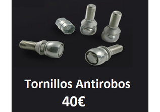 Tornillo Antirrobo